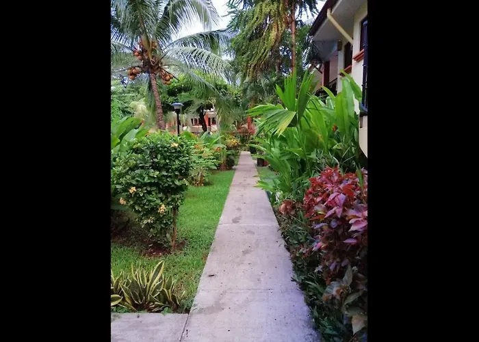 For Vacation In Playas Del 4*